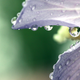 Illustration for article titled Refraction Shooting Challenge Gallery 1